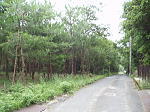【土地】大津市南小松