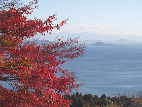 紅葉